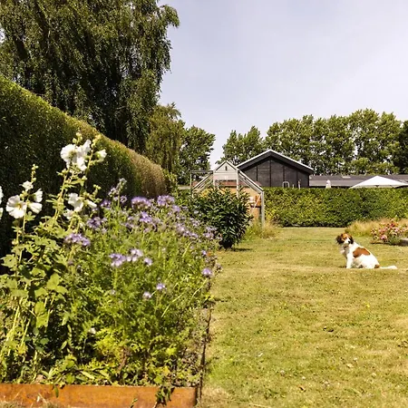 Modern And Cozy Near Copenhagen And Airport